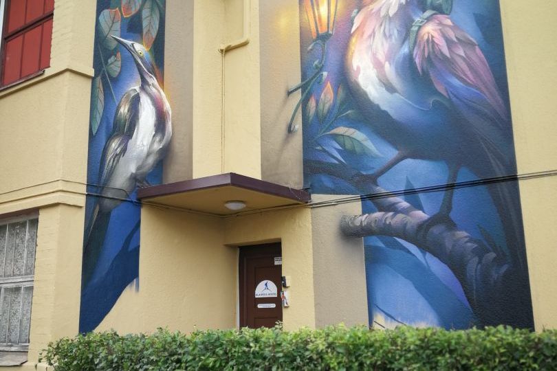 Graffiti „Paukščiai“