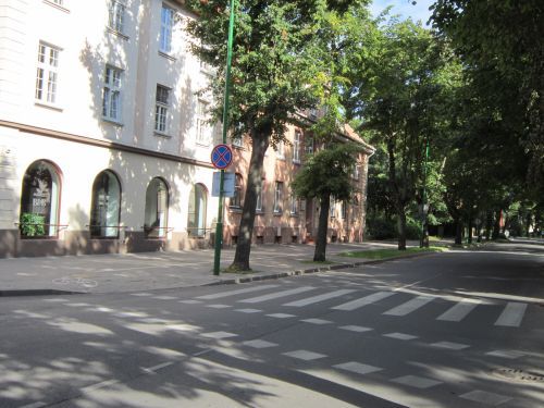 Sauliu Street
