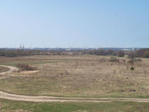 Žardės senovės gyvenvietė II, 2014 m.